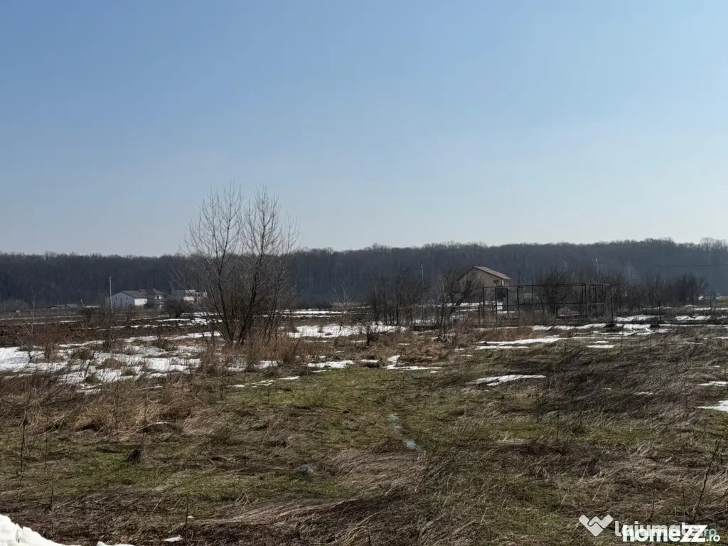 Domnești, teren langa pădure, 420mp, utilități, deschid
