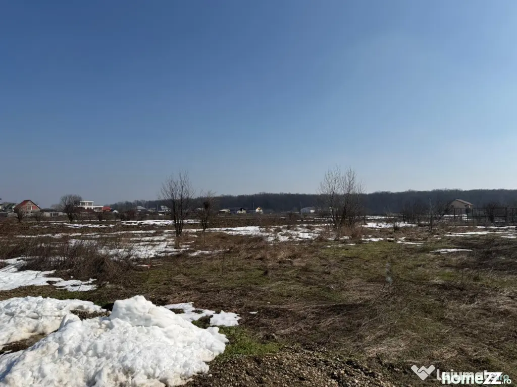 Domnești, teren langa pădure, 420mp, utilități, deschid