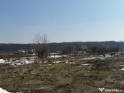 Domnești, teren langa pădure, 420mp, utilități, deschid 