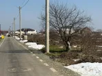 Domnești, teren langa pădure, 420mp, utilități, deschid