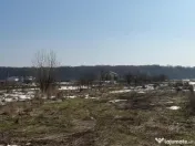 Domnești, teren langa pădure, 420mp, utilități, deschid 