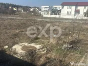 Teren cu autorizatie case in Trivale - Tancodrom 