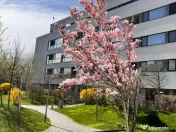 Apartament 4 camere, 100 mp S.utilă -Mall Colosseum & Lacul Străulești