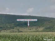 Faneata Miraslau sub padure, panorama asupra satului si vaii 