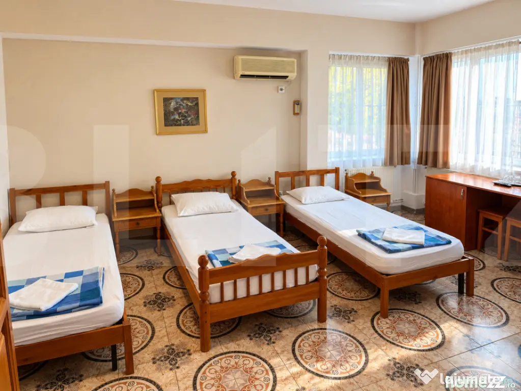 Pensiune 14 camere, oportunitate de bussines, Timisoara - Timisoara (Timis)