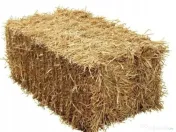 Fan baloti cereale animale