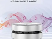 Wireless Bluetooth fara fir,microfon incorporat,radio FM, argintiu 