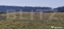 Teren intravilan, 10000 mp, zona Robanesti