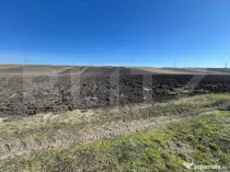 Teren de 26000mp cu potențial pentru investiții în Bonți