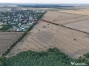 Teren investitie, intravilan Tamasi / Buftea 