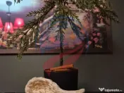 Garsoniere de inchiriat ultracentral 