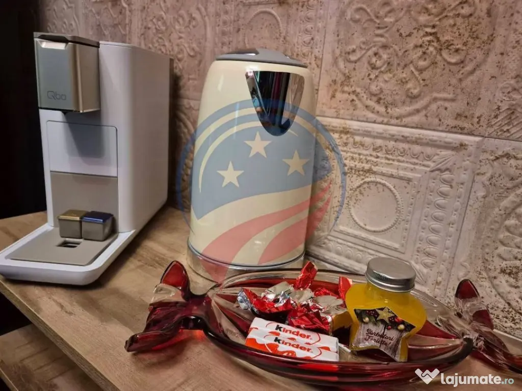 Garsoniere de inchiriat ultracentral