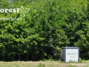 EForest, loturi teren de casă între 2 păduri, cu intrare din DN, 760mp 