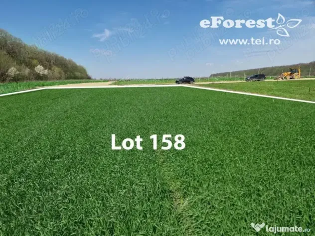 EForest, loturi teren de casă între 2 păduri, cu intrare din DN, 760mp