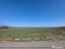 Teren 3800 mp Mischii sat Gogosesti