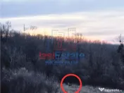 Teren cu vedere frumoasa 