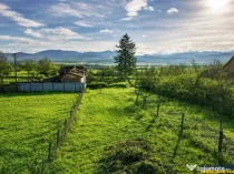 Gospodarie cu anexa, pivnita, iaz cu pesti si 2.280 mp de te