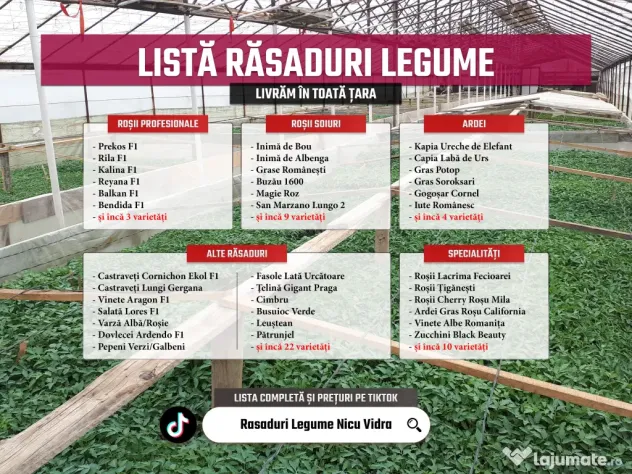 Rasaduri Legume Rasad Rosii Inima de bou Prekos Rila Ardei Vinete etc