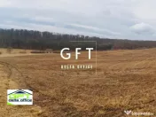 Teren extravilan , zona Valea Castailor - investitie prof... 