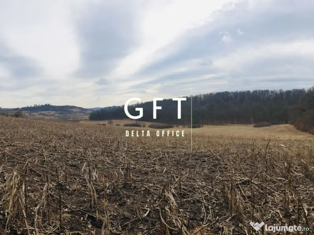 Teren extravilan , zona Valea Castailor - investitie prof...