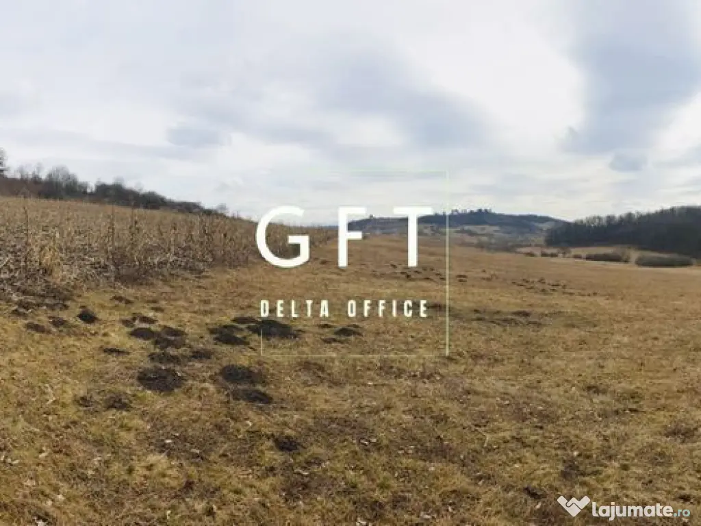 Teren extravilan , zona Valea Castailor - investitie prof...