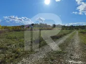 Refugiu la marginea padurii — 2822 mp de liniste in Cocani 