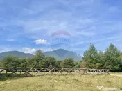 Teren intravilan 850mp Zarnești-Bran, natura-relaxare 