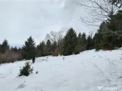 Teren superb extravilan in apropiere de Poiana Brasov 