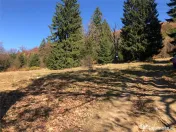 Teren superb extravilan in apropiere de Poiana Brasov 