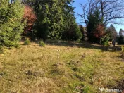 Teren superb extravilan in apropiere de Poiana Brasov 