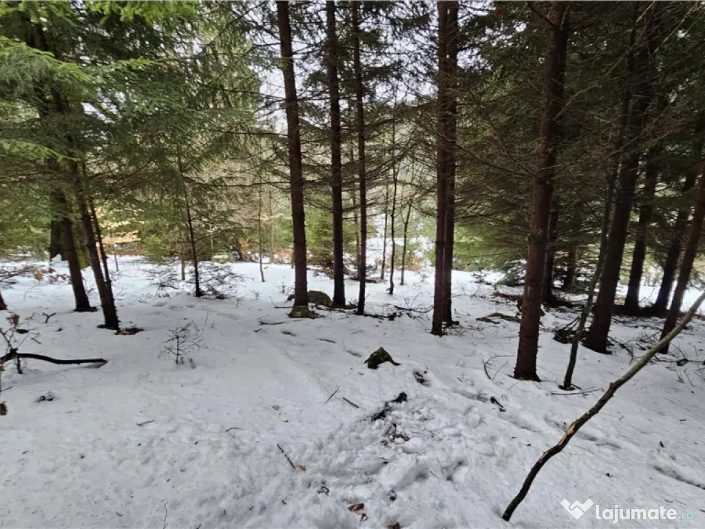 Teren superb extravilan in apropiere de Poiana Brasov