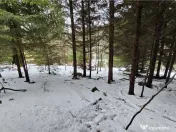 Teren superb extravilan in apropiere de Poiana Brasov 