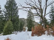 Teren superb extravilan in apropiere de Poiana Brasov 