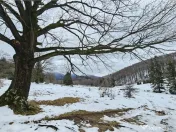 Teren superb extravilan in apropiere de Poiana Brasov 