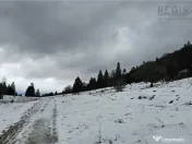 Teren superb extravilan in apropiere de Poiana Brasov 