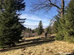 Teren superb extravilan in apropiere de Poiana Brasov
