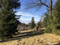 Teren superb extravilan in apropiere de Poiana Brasov