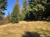 Teren superb extravilan in apropiere de Poiana Brasov 