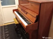 Pian foarte bine întreținut