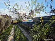 Casa individuala (P 1 M), Balotesti, Martha Bibescu 