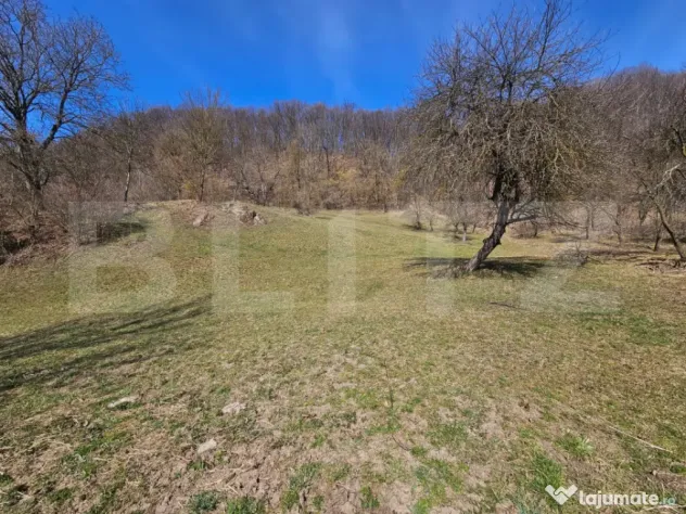 Casă cu teren generos 6.820 mp, lângă pădure și râu ??