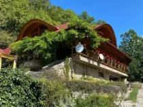 Domeniu exclusivist 17.000 mp | Vilă luxury cu piscină & S