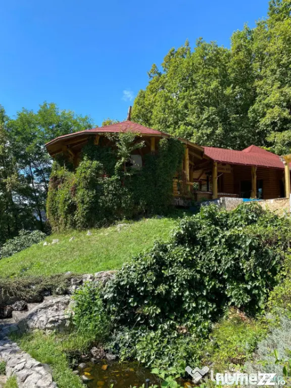 Domeniu exclusivist 17.000 mp | Vilă luxury cu piscină & S