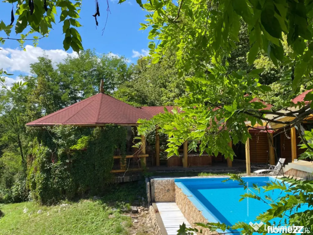 Domeniu exclusivist 17.000 mp | Vilă luxury cu piscină & S
