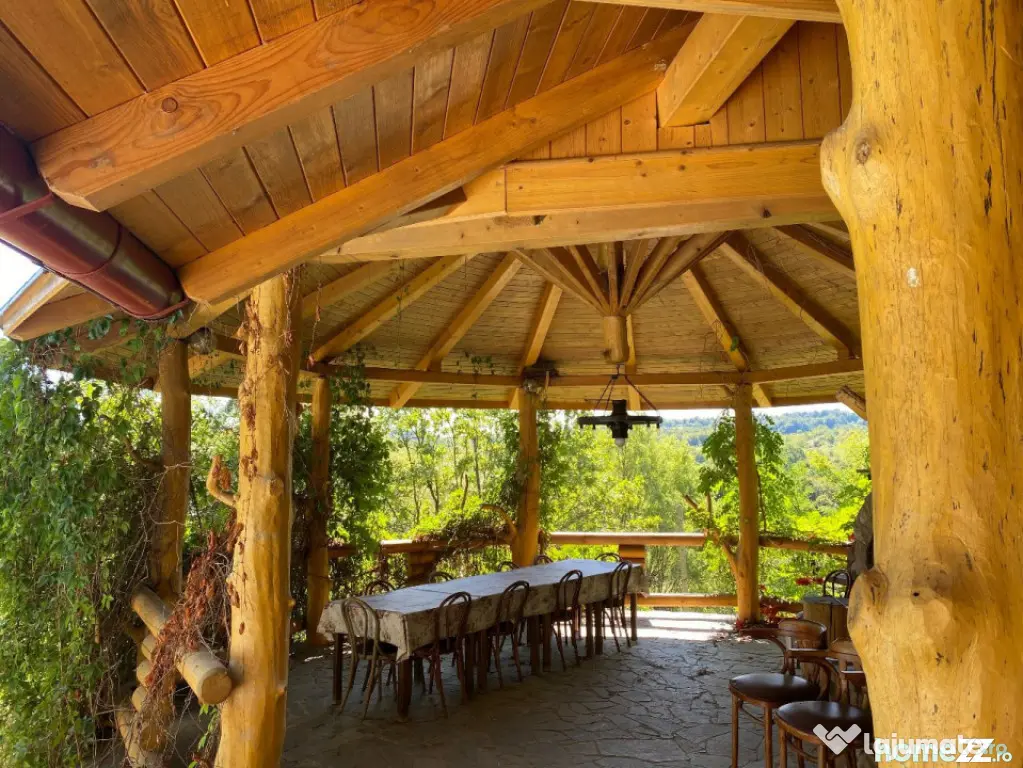 Domeniu exclusivist 17.000 mp | Vilă luxury cu piscină & S
