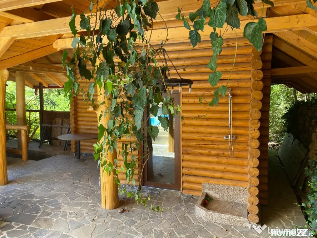 Domeniu exclusivist 17.000 mp | Vilă luxury cu piscină & S