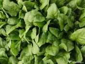Spanac din cultura proprie 