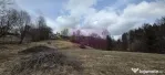 Teren intravilan de vanzare in Valea Doftanei