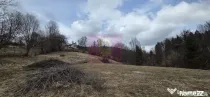 Teren intravilan de vanzare in Valea Doftanei