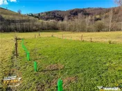 FILM! Teren extravilan 682 mp rulota, Floroaia, Intorsura 